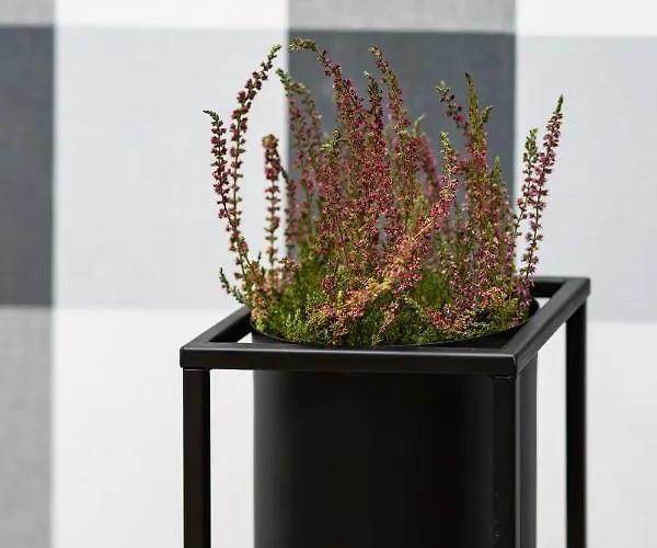 Bitwy Warszawskiej Apartament *