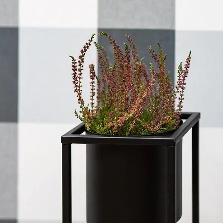 Bitwy Warszawskiej Apartment *